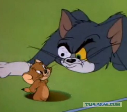 Негры на аттракционе