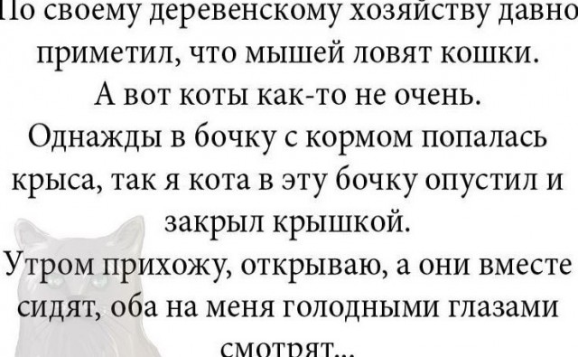 Баянисто-небаянистый юмор 19.07.21