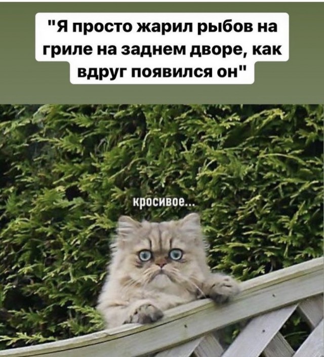 Картинки и мемы для настроения 12.08.2021