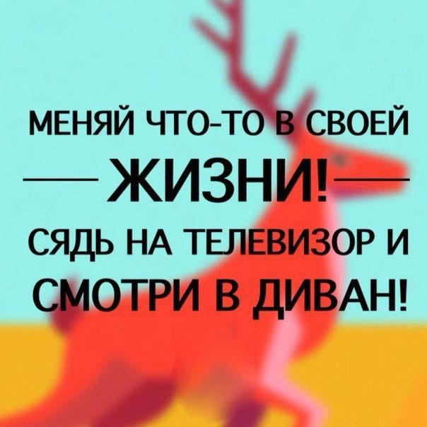 Чё смотришь? Листай дальше!