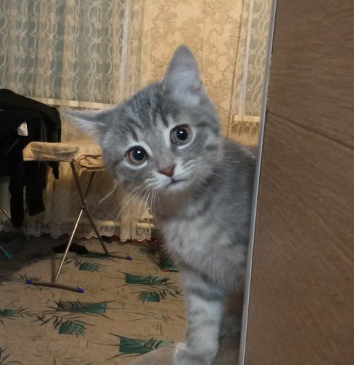 Вот как с ним бороться?