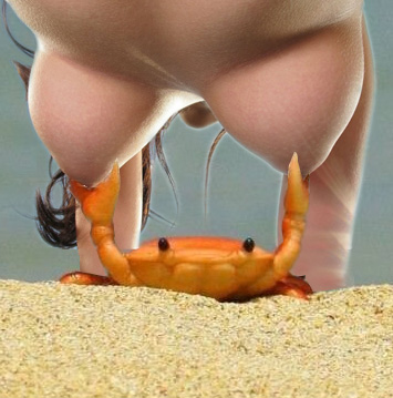 Какой же удачный кадр