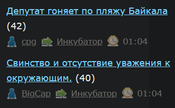 Депутат гоняет по пляжу Байкала