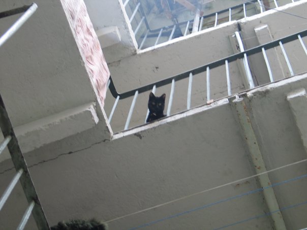 Славный город Львов
