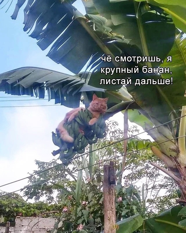 Так себе картинки 23.09.22