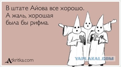 В поисках гамбургера..