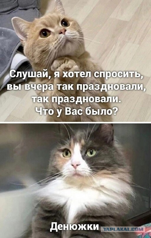 Алкогольный юмор