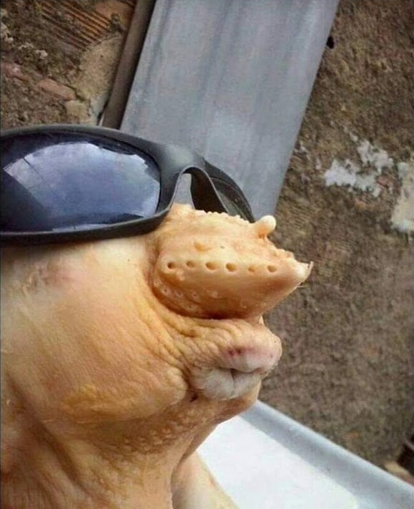 И губы "уточной" обязательно