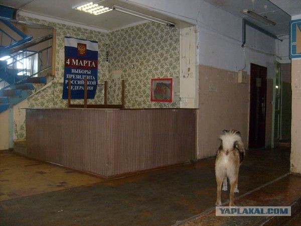 Один день из жизни служителя Храма