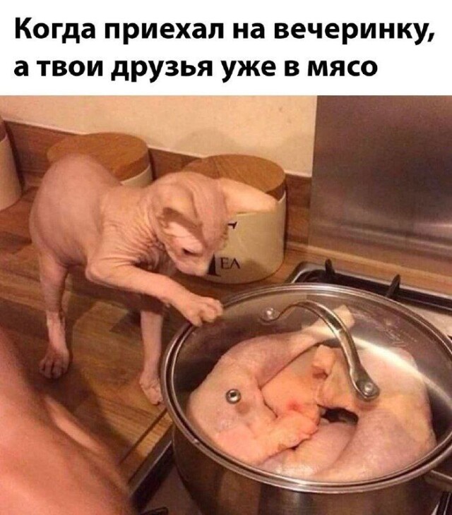 Немного разных картинок 13.05.23