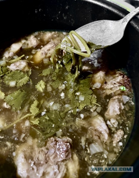 Кто не любит харчо? С орехами и сливой от Т. П. Сулаквелидзе