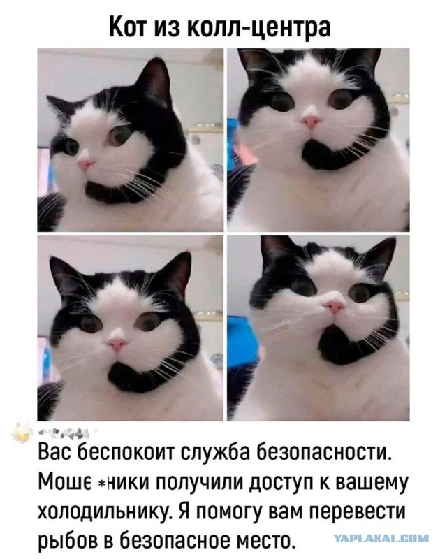 Отряд быстрого деградирования. Номер 20