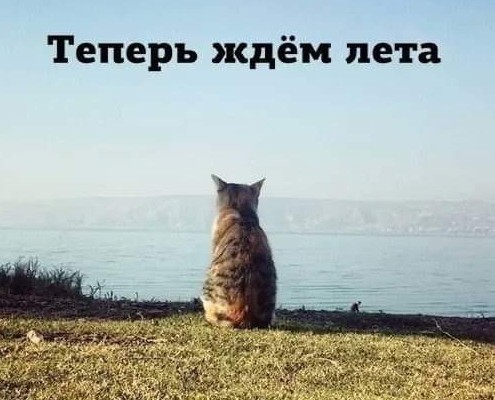 Улыбательные картинки для настроения