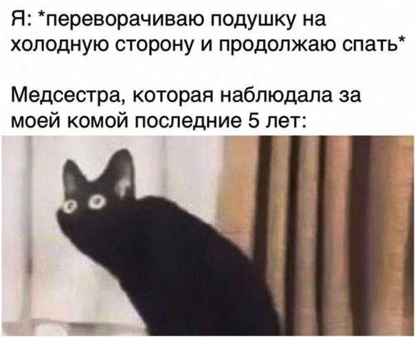 Немного забавных картинок