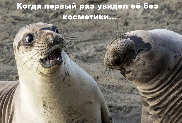 Пятничная солянка