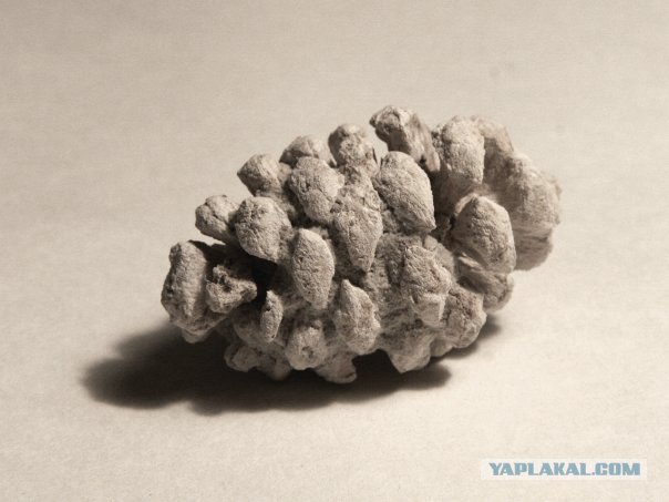 История мира у нас под ногами