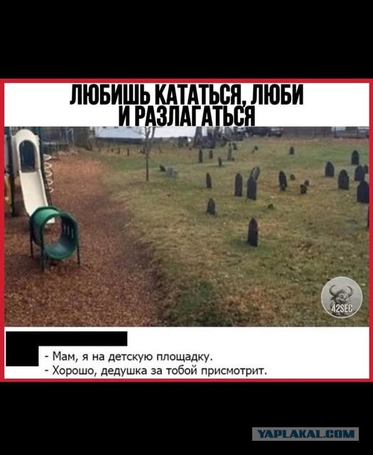 Субботние картинки