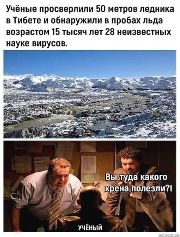 Картинки для деградации 157 (разной степени свежести)