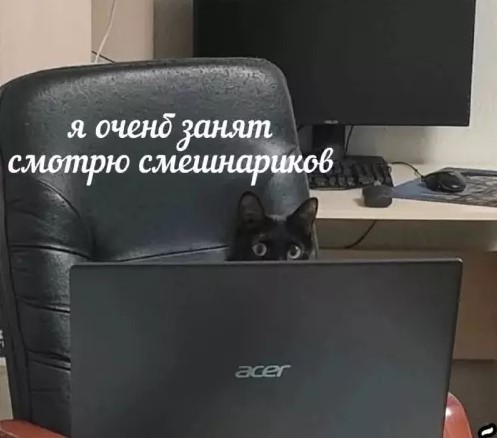 Котямбосы