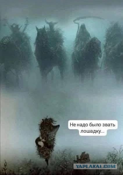 Забой скота в Новосибирской области. Диванная аналитика