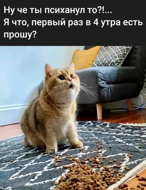 Пакет брать будете?