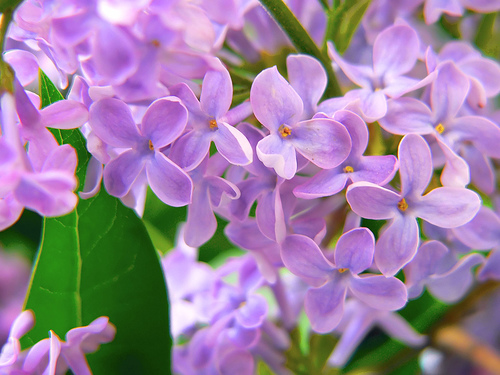 25 самых популярных суеверий со всего света