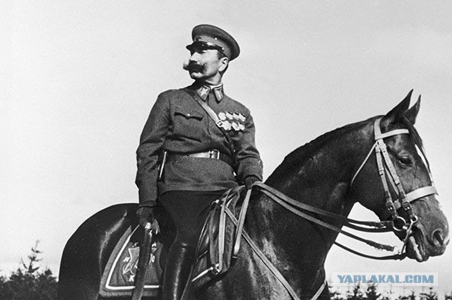 Коня, сто литров за коня! Сколько стоит завести лошадь вместо автомобиля