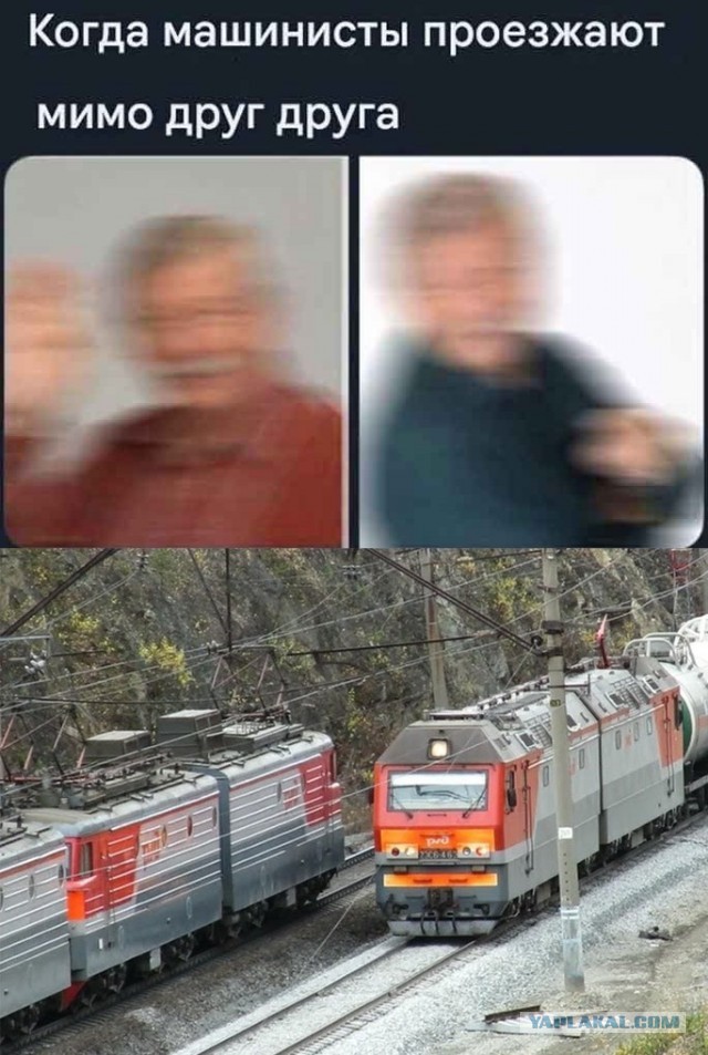 Мемы 30 штук к понедельнику