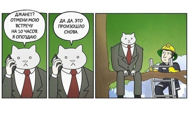 Веселые картинки в понедельник (24.08)