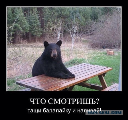 Картинки