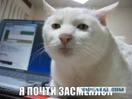 Голые фрукты 18+