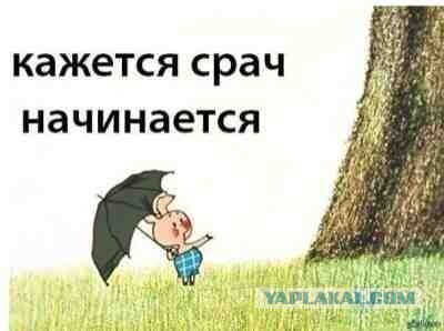 Обман, кругом обман