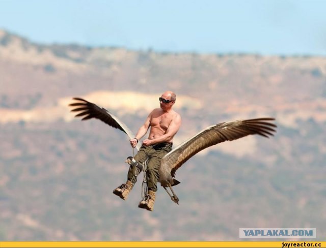 Путин одобрил новый самолёт «Рысачок»