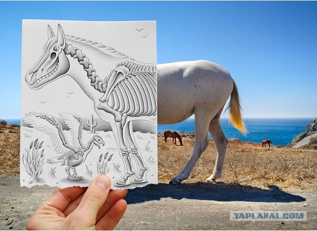 Карандаш и фотоаппарат