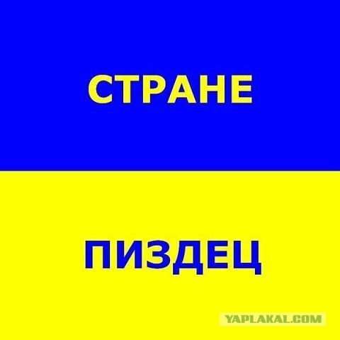 Вот это поворот ! Очередное высказывание Меркель