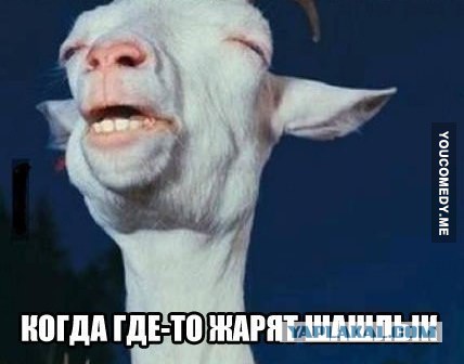 Прикольные пикчи