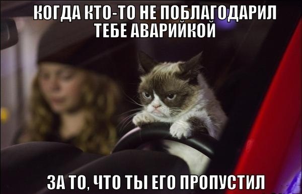 Смешные комменты из соцсетей