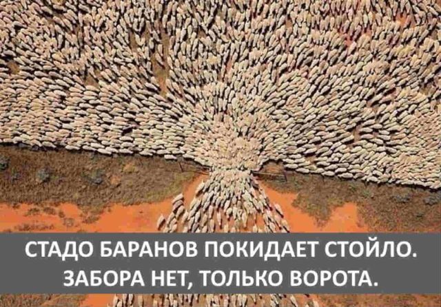 Закон не писан.