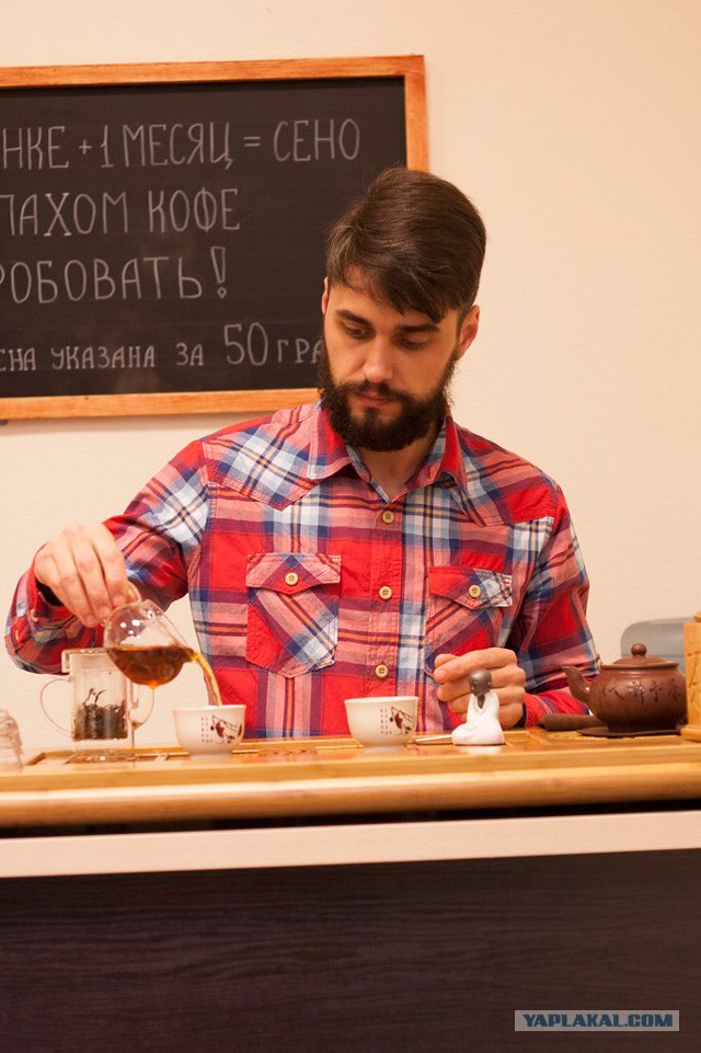 Фриланс и Дзен