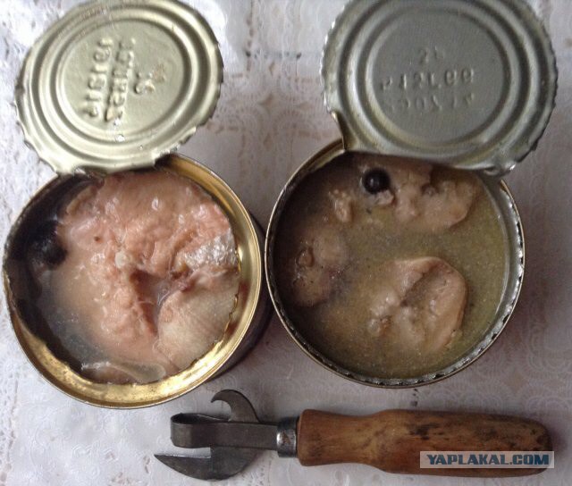 Обман по акции в магазине пятерочка