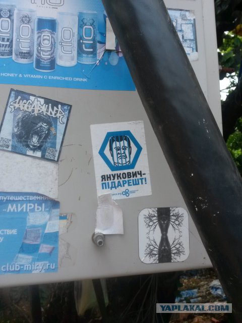 Поездка в Гоа. Февраль 2015