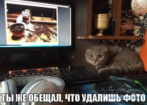 Картинок пост