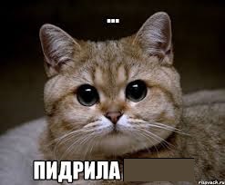 Ну вы поняли)))