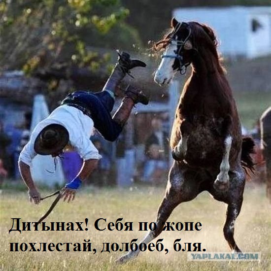 Неприятности случаются 4-ая часть