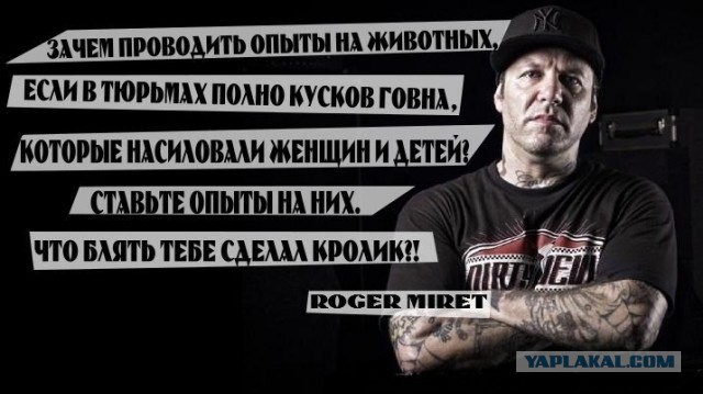 Зверюга задержан