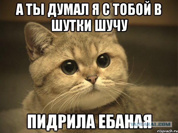 Рыба отправляет мужика в нокаут