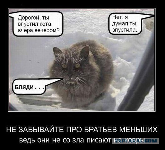 Весёлые картинки
