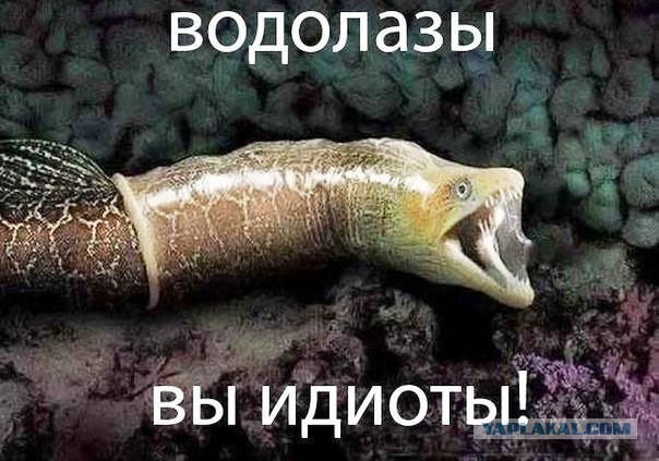 Странные и опасные обитатели морей