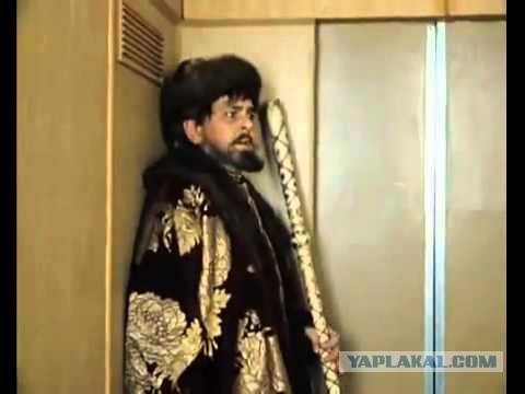 Хаски скандалит
