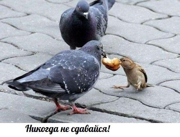 А давайте улыбнёмся